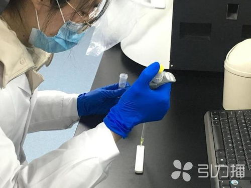 张家港迪亚莱博生物科技自主研发新冠病毒免疫测试卡 10分钟内锁定疑似病例