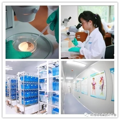十周年专访丨环特生物首席科学家李春启: 斑马鱼生物科技研发与产业应用领航者的进化之路