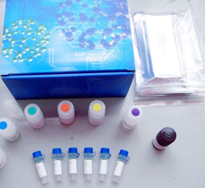 FU-J0145鸡三碘甲状腺原氨酸(T3)ELISA试剂盒_北京方程生物科技_其他_生化试剂_生物试剂 _阿仪网
