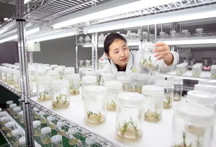光辉历程 振兴风采 黑龙江省庆祝新中国成立70周年摄影作品展 部分作品选登