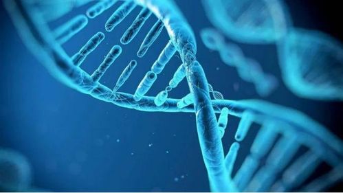 弈柯莱生物科技,完成近3亿元c轮融资