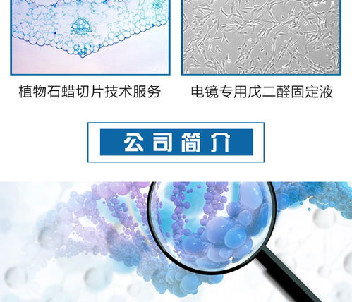 酵母双杂交技术服务 迈斯普 推荐商家