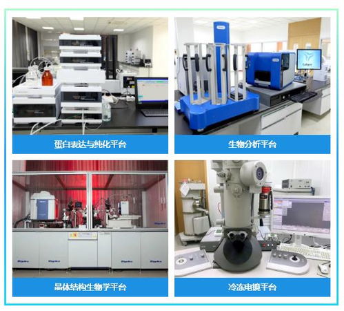 双良集团旗下生物科技公司佰翱得完成逾亿元A轮融资